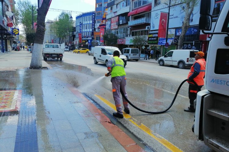 Malatya'da haşere ile mücadele sürüyor -