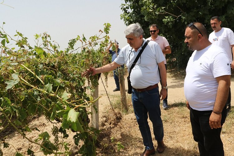 Manisa Büyükşehir ve Alaşehir Belediyeleri afetzedelerin yanında -