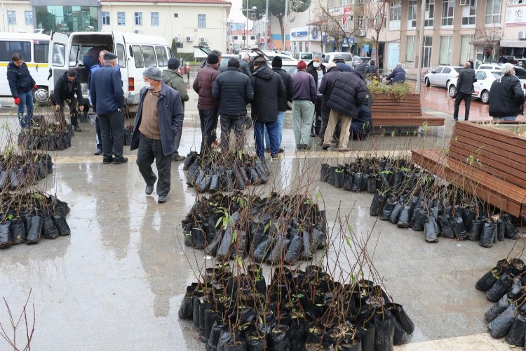 Manisa'da 7 bin ceviz ve badem fidanı dağıtıldı