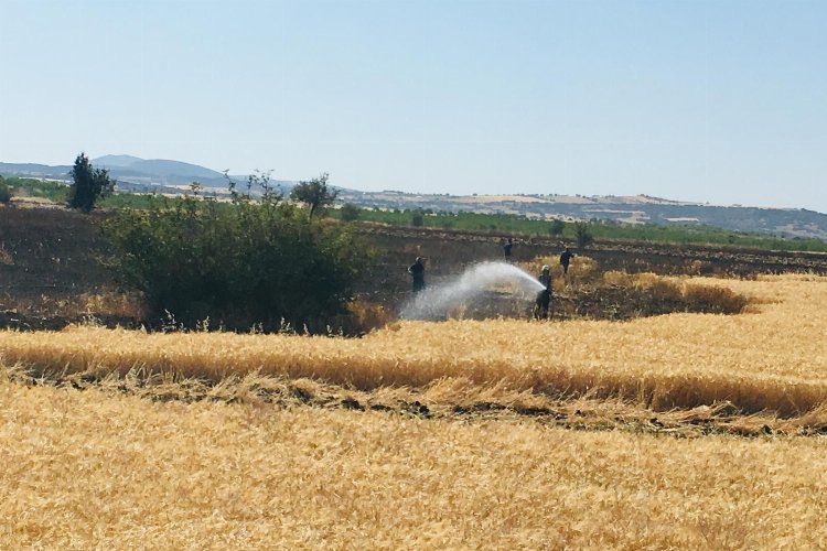 Manisa'da çiftçilere uyarı -