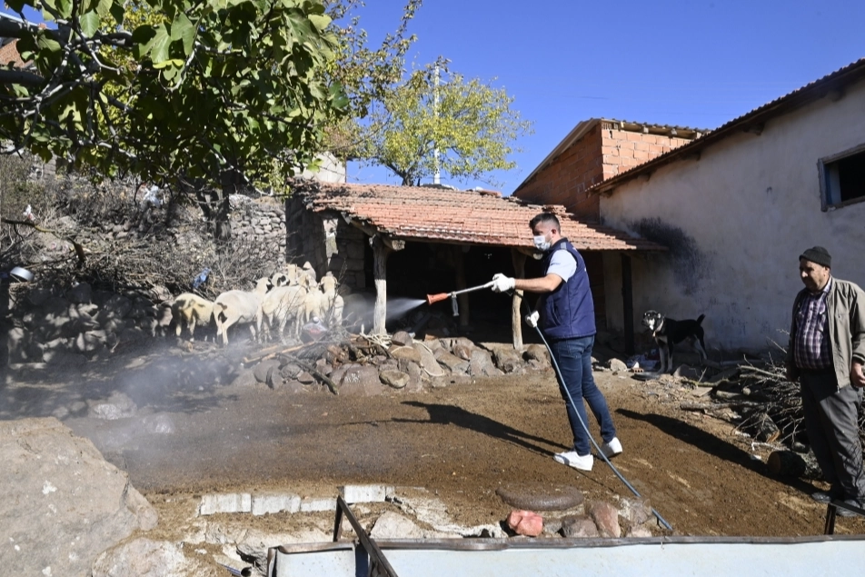 Manisa'da mavi dil hastalığıyla mücadele kapsamında 111 mahalle ilaçlandı -