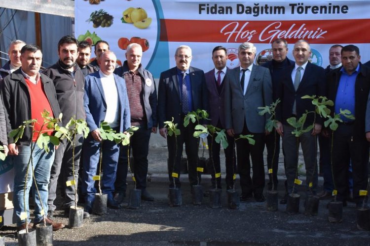 Manisa'da meyveciliğe 'fidan' desteği