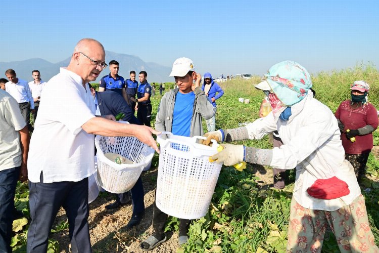 Manisa'da tarım emekçileriyle hasat vakti buluşması -