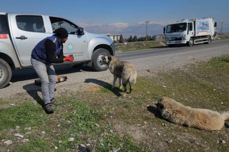 Manisa Kahramanmaraş'ta da can dostlarını unutmadı -