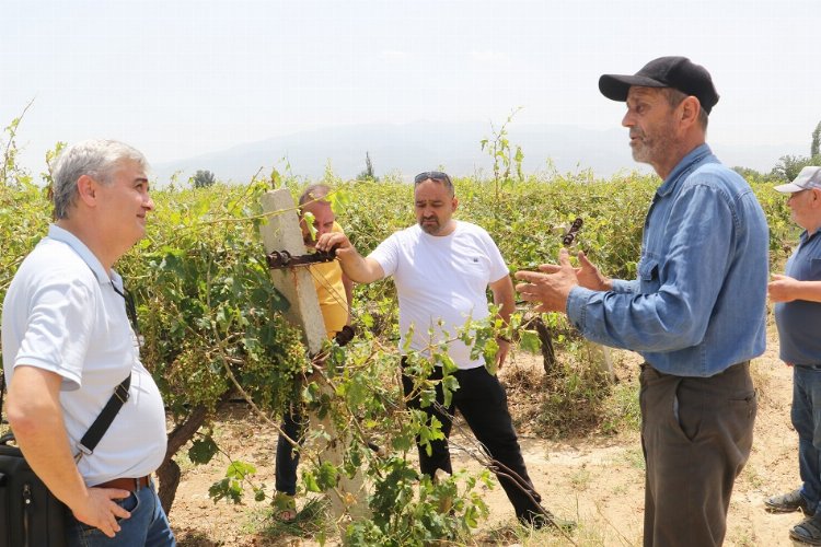 Manisa Meclisi'nden hasar gören üreticilere destek -