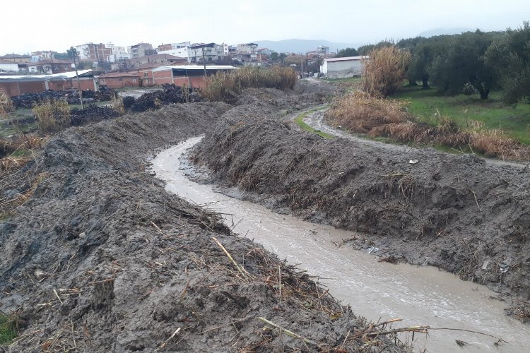 Manisa Zeytinliova’da dere temizliği -