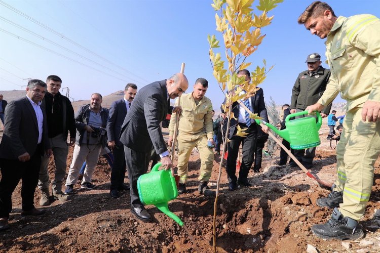 Mardin'de 23 bin 700 fidan toprakla buluştu -