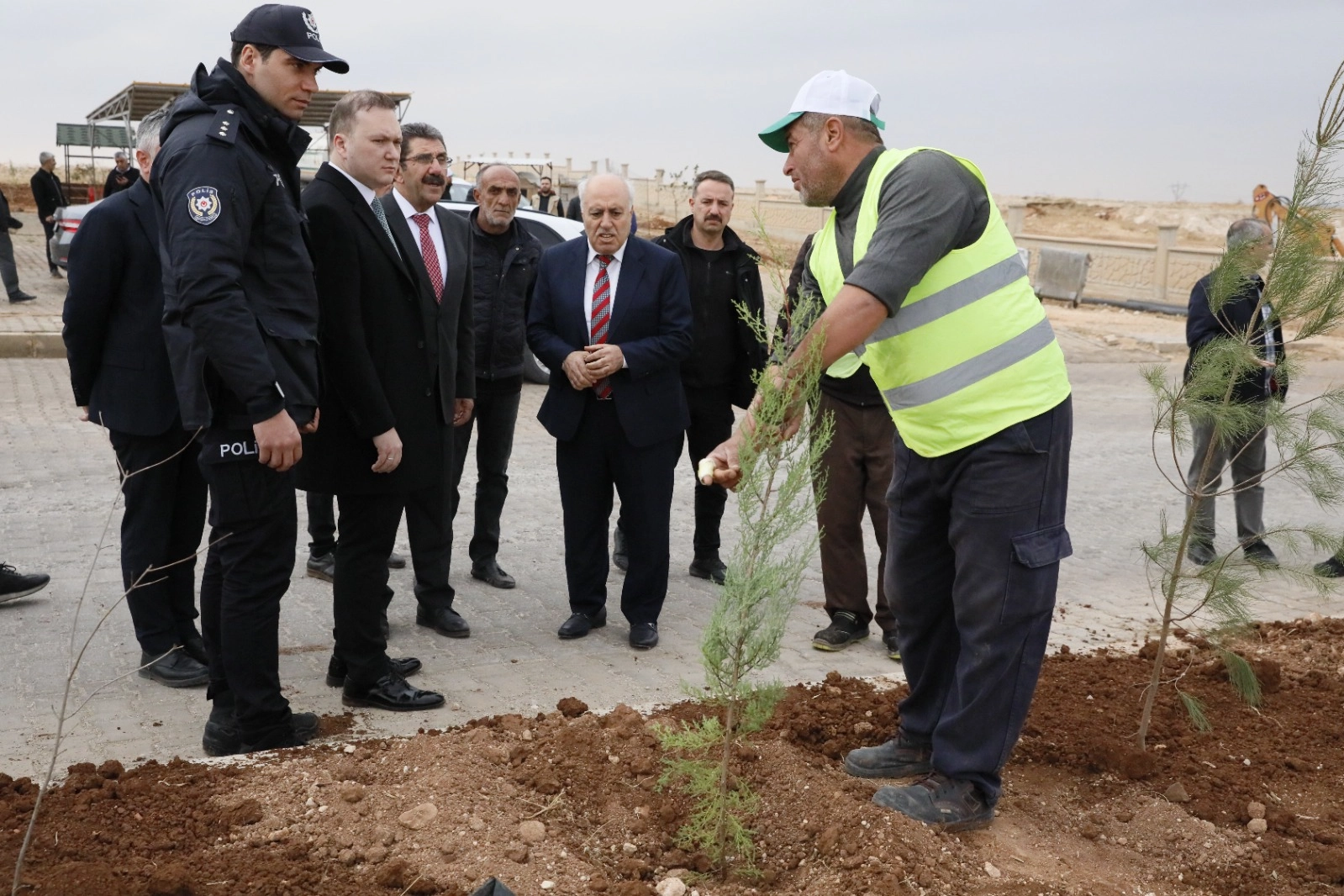 Mardin Yeşilli 2.ci OSB’de binlerce ağaç toprakla buluştu -