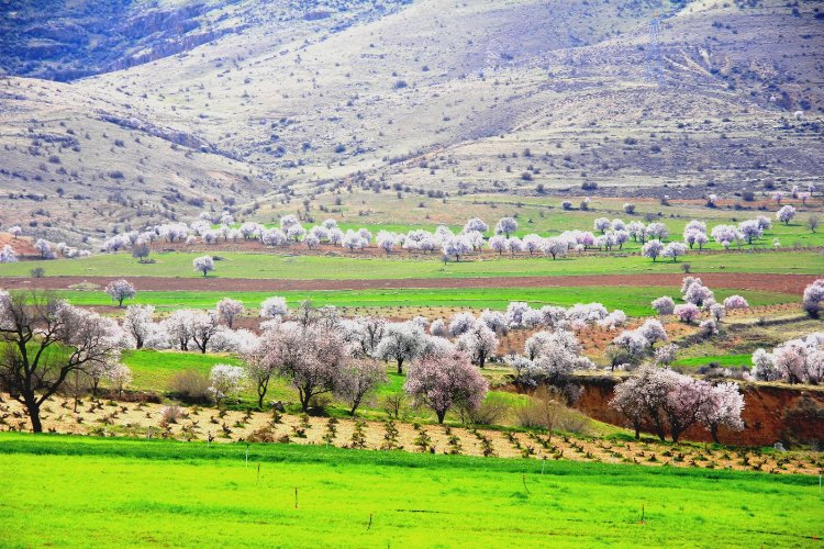 Mardin Yeşilli'de renk cümbüşü -