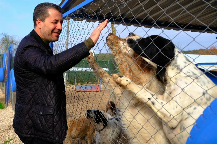 Mesut Şehitoğlu’ndan Bursalılara çağrı; “Her aile 1 can dostu sahiplenmeli” -