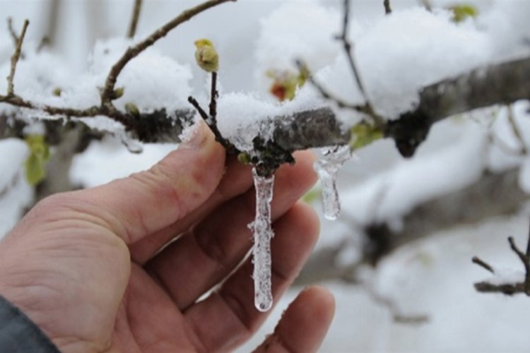 Meteoroloji'den don ve buzlanma uyarısı -