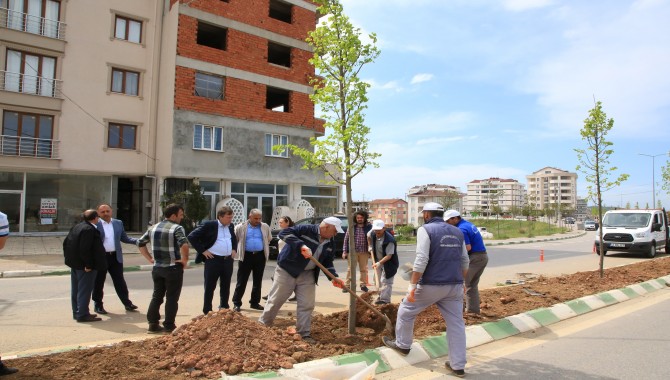 MUAMMER AKSOY CADDESİ YEŞİLLE BULUŞUYOR