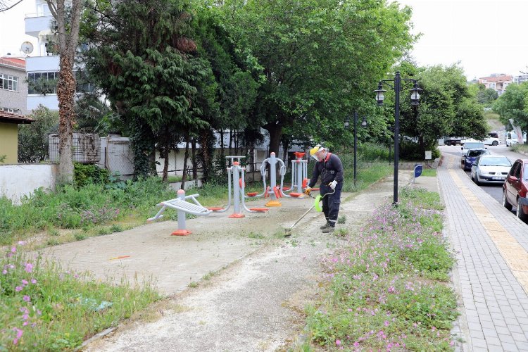 Mudanya'da park ve yeşil alanlara bakım -