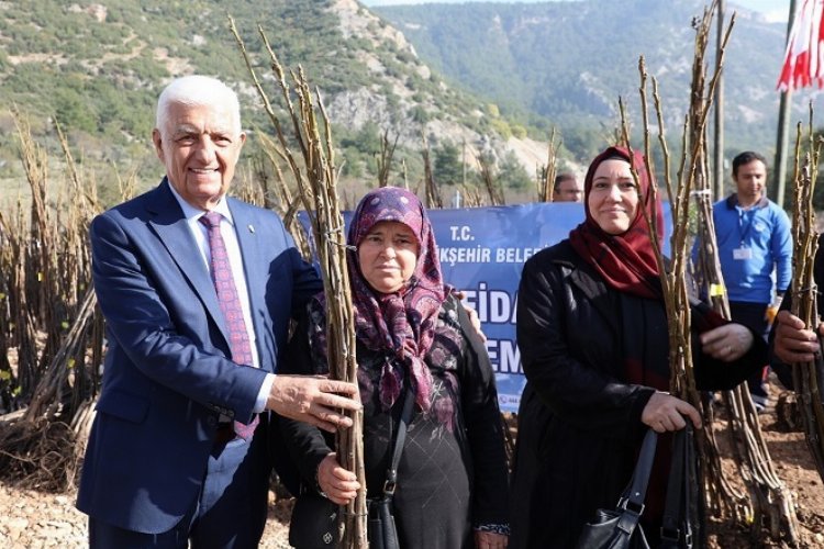 Muğla Büyükşehir Belediyesi çiftçiye fidan desteği -