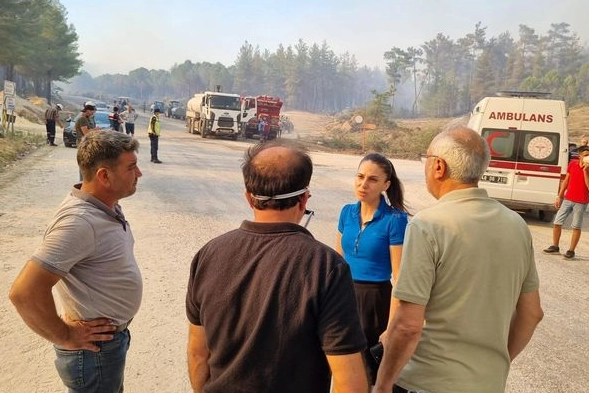 Muğla'daki yangınlar TBMM'ye taşındı... CHP'li milletvekili son 10 yılın hesabını sordu -