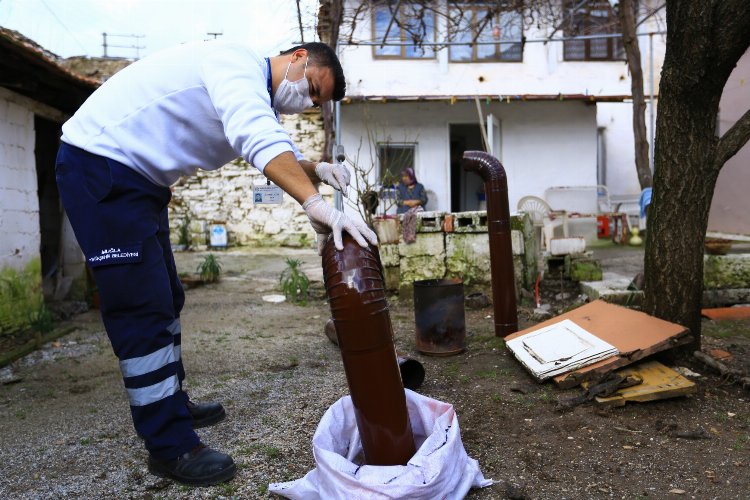 Muğla kırsaldaki çınarların yanında -