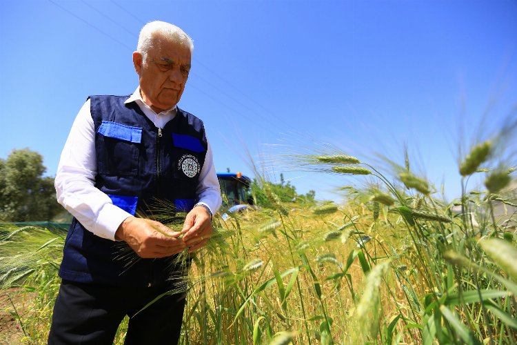 Muğla üretiyor, Büyükşehir destekliyor -