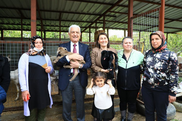 Muğla Büyükşehir’in desteklediği üniversite mezunu kadınlar hayvancılığa başladı -