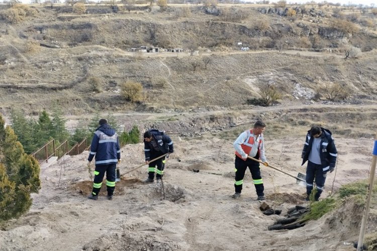 Nevşehir Belediyesi'nden 24 Kasım anısına fidan -