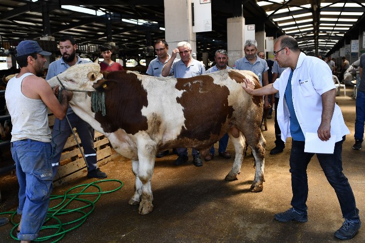 Osmangazi Belediyesinde Kurban Bayramı hazırlığı -