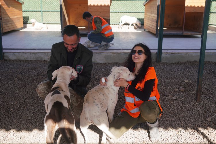 Paw Guards üyelerinden Diyarbakır'a yakın mercek -