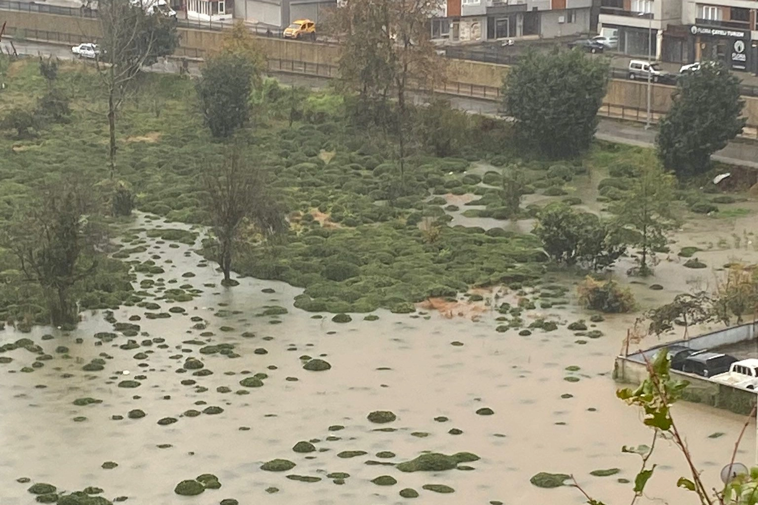 Rize Çayeli'nde heyelan! CHP: Bu tür afetler kader değil, basiretsizliktir! -