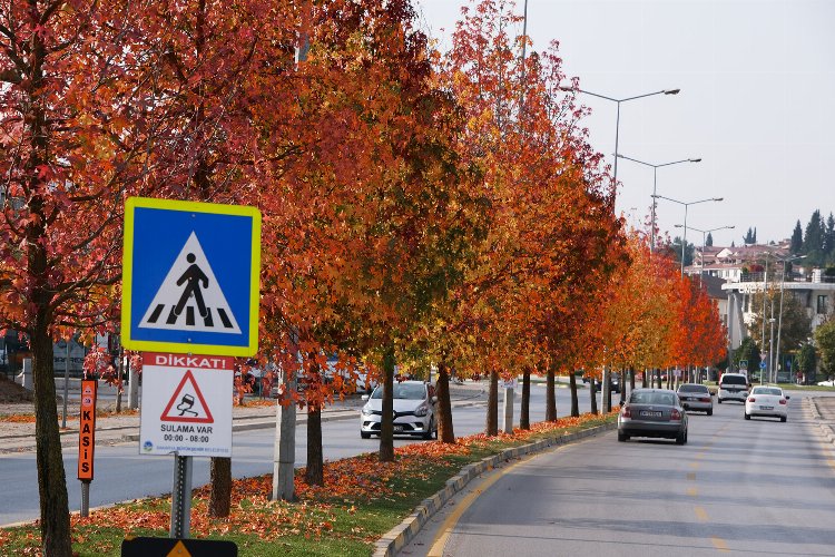 Sakarya'nın dokunduğu yollarda sonbahar esintisi -