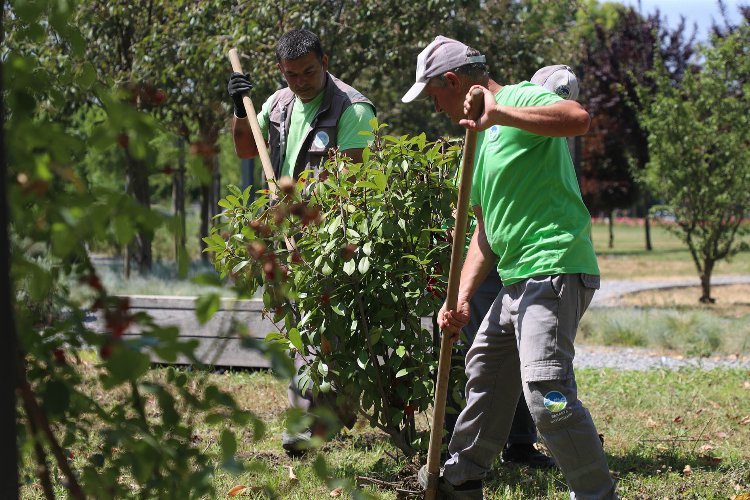 Sakarya’nın dört bir yanında estetik çalışmalar -