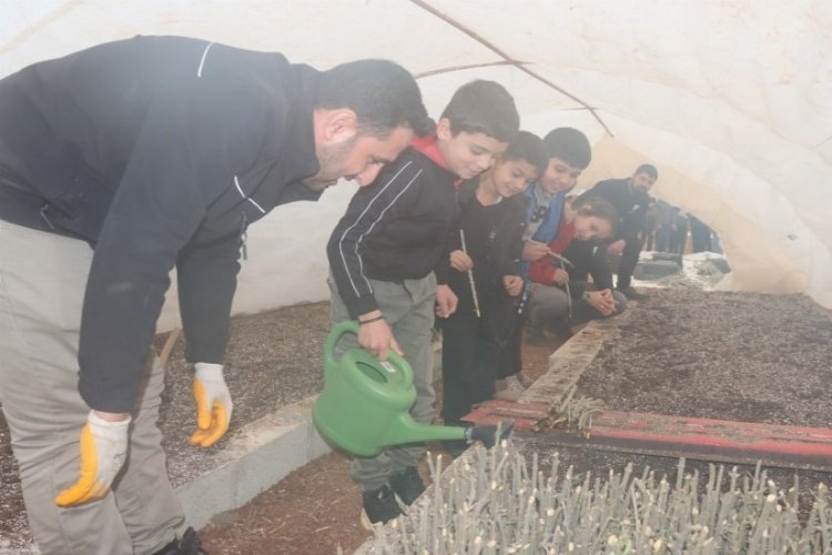 Şanlıurfa'da minikler tarımla buluştu -