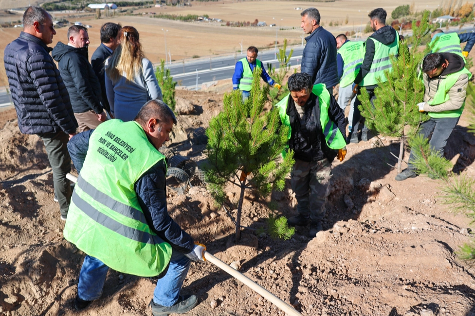 Sivas'ta mevsimlik işçiler adına hatıra ormanı -