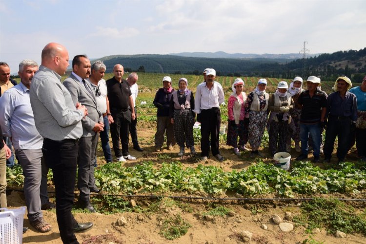 Tarım işçisinin koruyucu ekipmanları Manisa'dan -