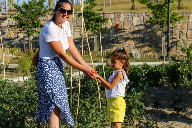 Tarım okulunda eğlenceli eğitim -