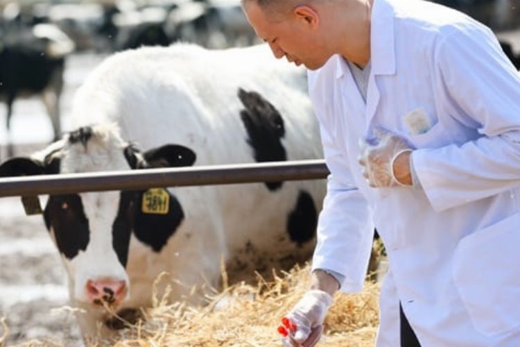 Tarımsal girdide veteriner harcamaları ilk sırada -