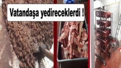 4 TON KAÇAK ET ELE GEÇİRİLDİ