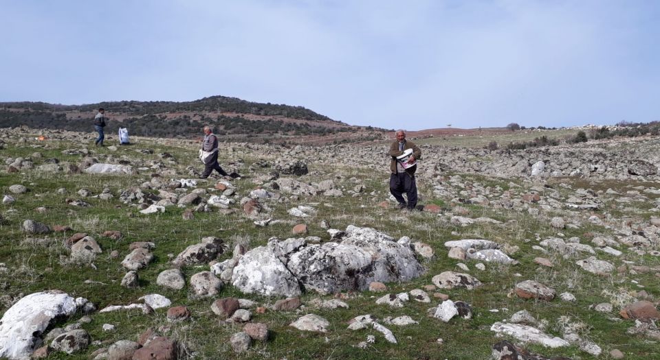 Kilis meralarında gübreleme uygulaması