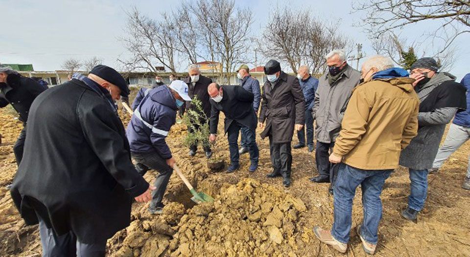 Rusya'dan sürgün edilenler anısına Kandıra'ya 300 zeytin fidanı