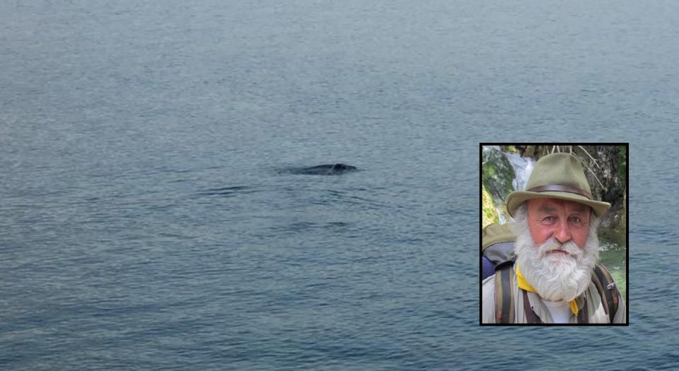 Muğla Fethiye'de fok balığı görenleri heyecanlandırdı