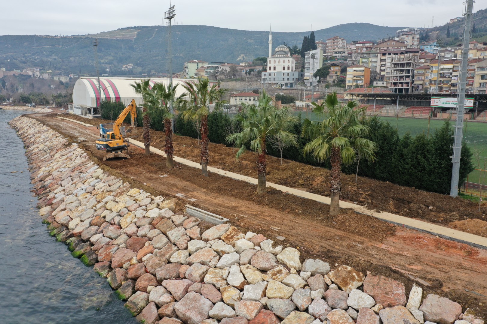 Kocaeli Hereke Sahili’ne palmiyeler dikildi