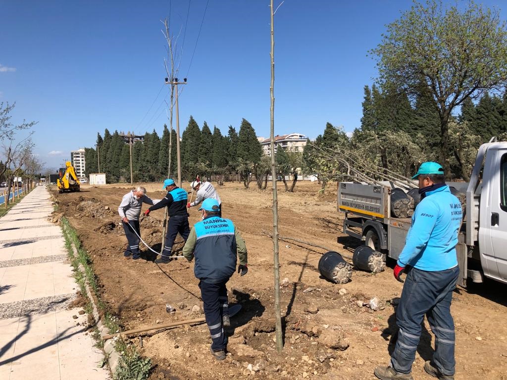 Manisa'da fidan seferberliği