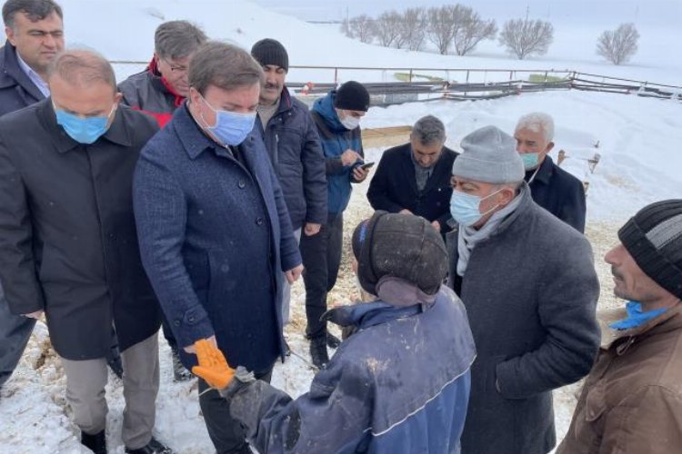 Aksaray'da ağılın çatısı çöktü! 30 koyun telef oldu! -