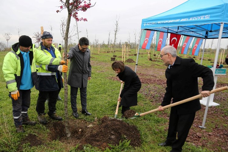 Aliyev’in anısına 100 fidan -