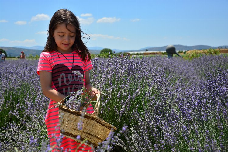 Aromaterapide şifa yolculuğu başlıyor -