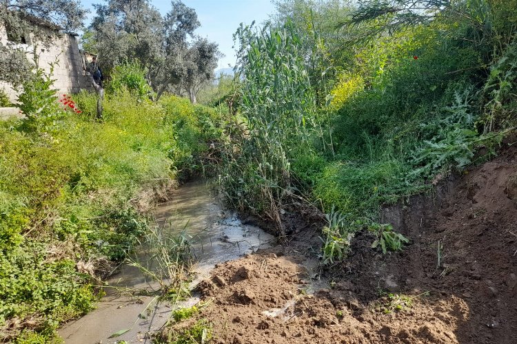 Balavca Deresi ve çevresinde temizlik seferberliği -