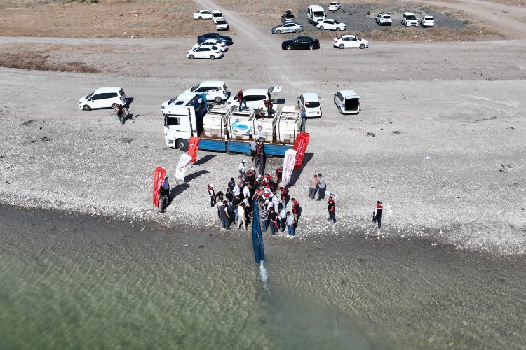 Başkan Çolakbayraktar: ‘İç denizimiz Yamula'ya 800 bin yavru sazan bıraktık’’ -