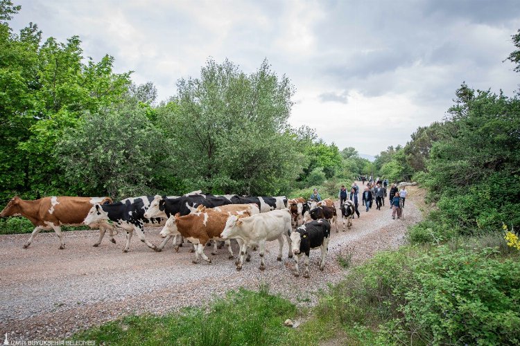 Bergama’da yayla yolculuğu başladı -