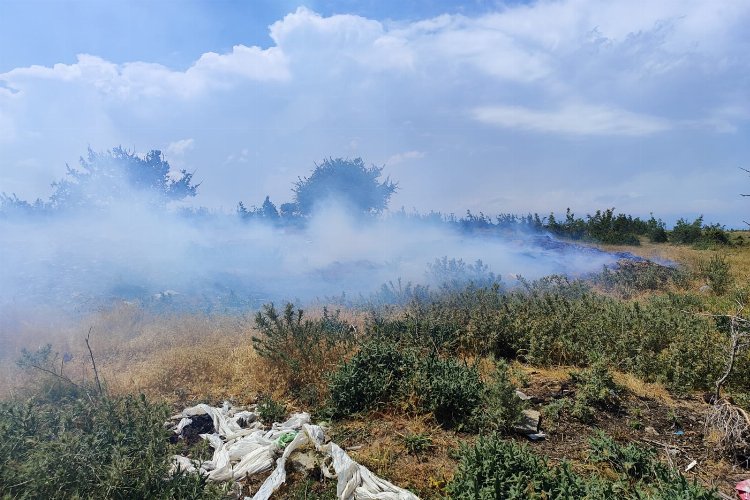 Boztepe Köyü’nde 200 dönümlük buğday ekili alan yandı -