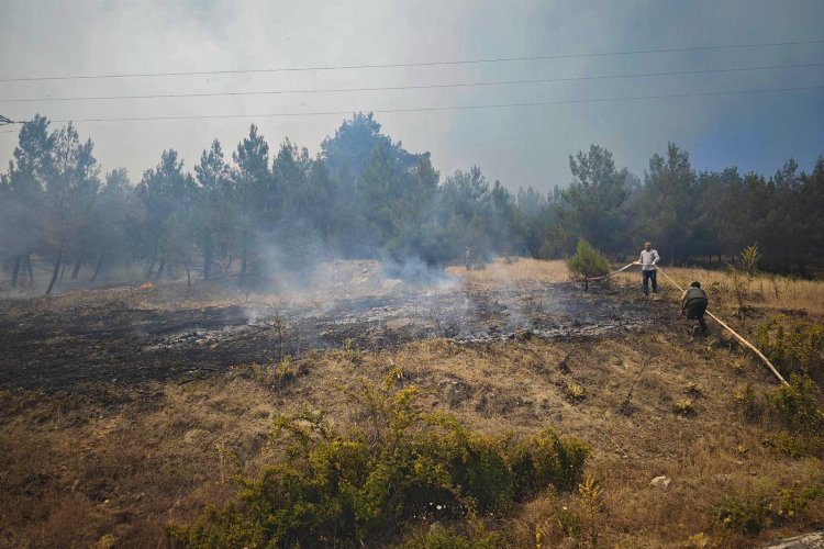 Bursa Büyükorhan'da yangın kabusu -