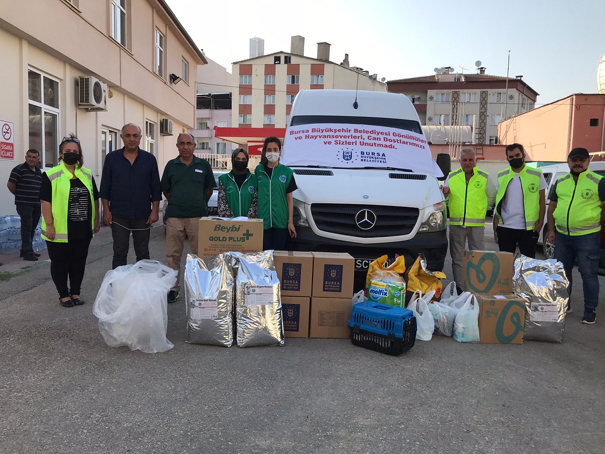 Bursa Büyükşehir Belediyesi yangın bölgesindeki can dostları unutmadı