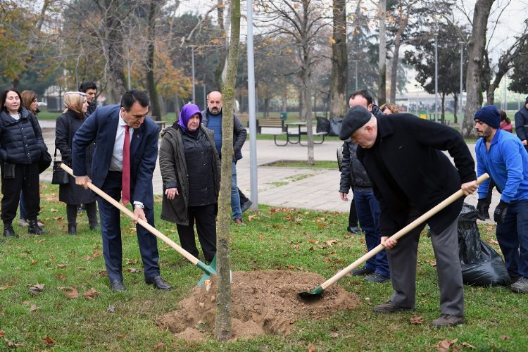 Bursa'da lodos yıktı Osmangazi Belediyesi yeşertiyor -