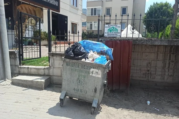 Bursa'da Odunluk Mahallesi çöp ve koku problemiyle karşı karşıya -